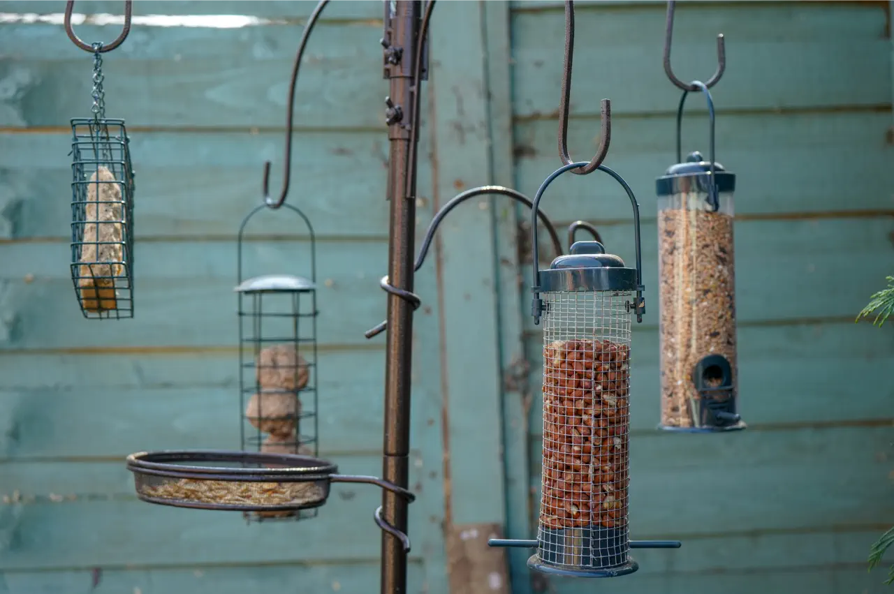 Top Picks: Best Bird Feeders for Small Birds